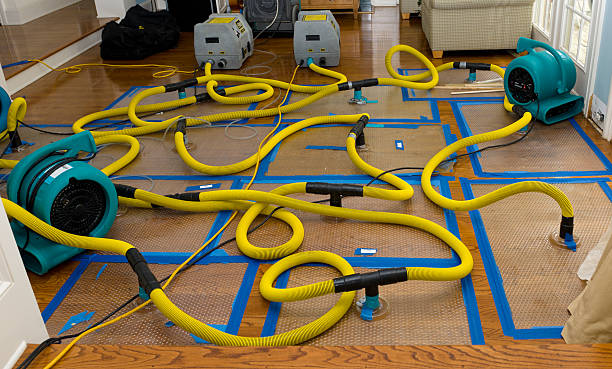 Professional Basement Flood Cleanup technician working in Oxford, PA